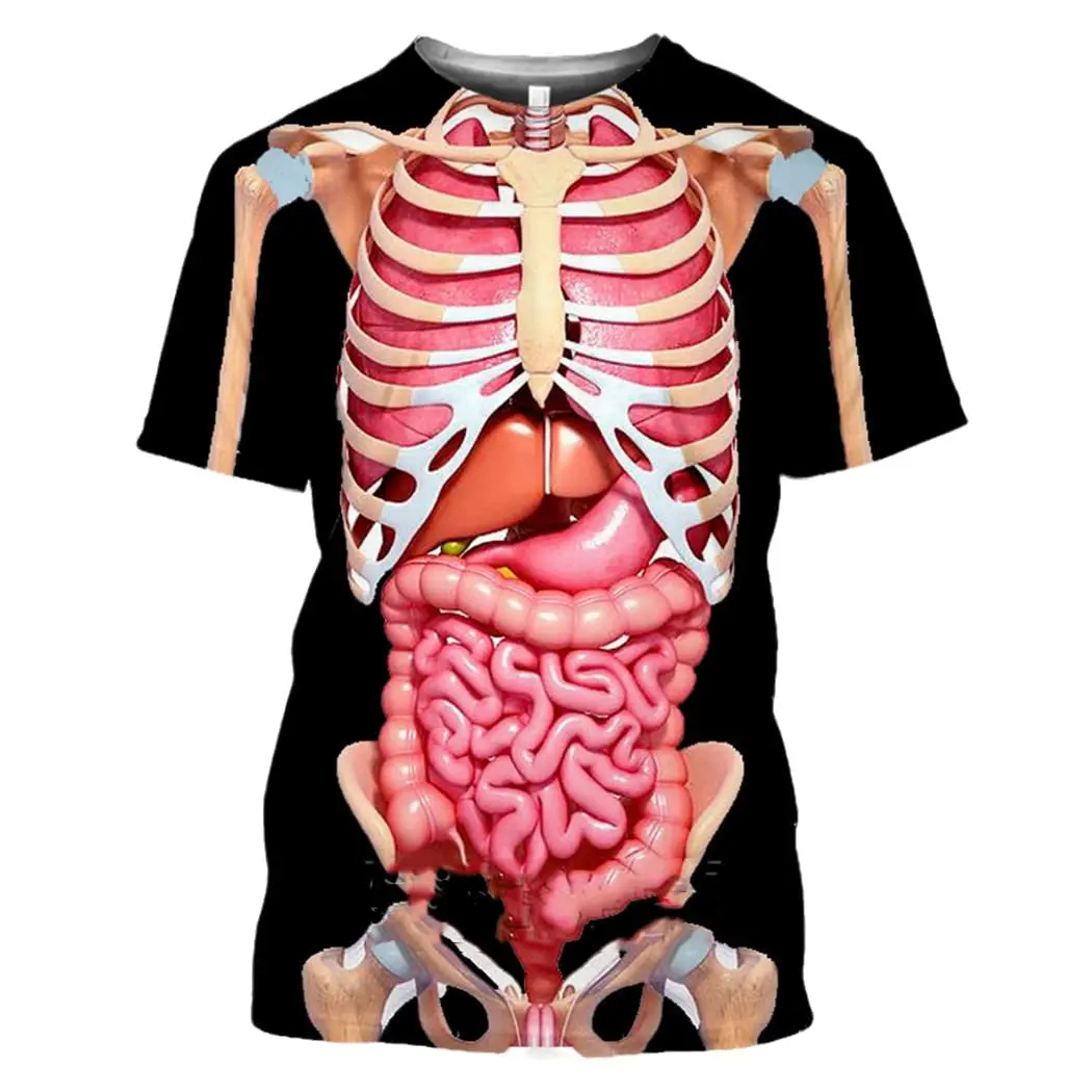 3D Printing Diagram - Male Skeleton Internal Organs 3D Printing