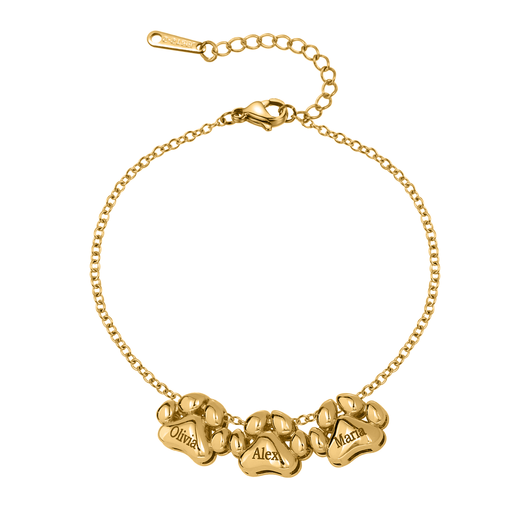 3D Luxury Paw Bracelet Custom  - đánh giá và giá 3D Printing Link