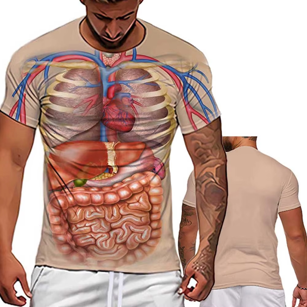 Male Skeleton Internal Organs  - đánh giá và giá 3D Printing Diagram