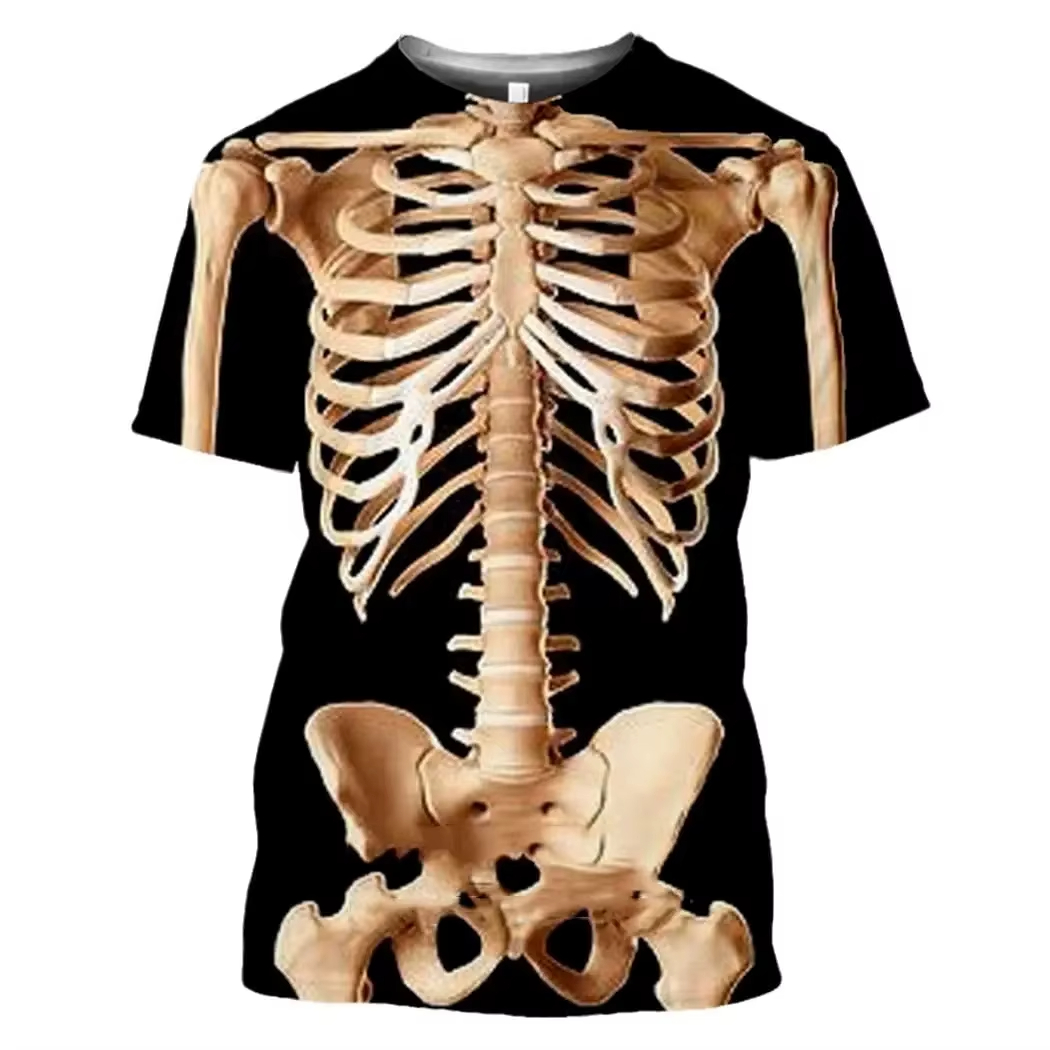 Male Skeleton Internal Organs  - đánh giá và giá 3D Printing Diagram
