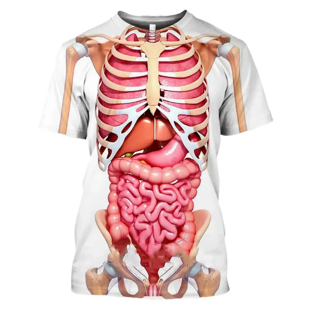 Male Skeleton Internal Organs  - đánh giá và giá 3D Printing Diagram