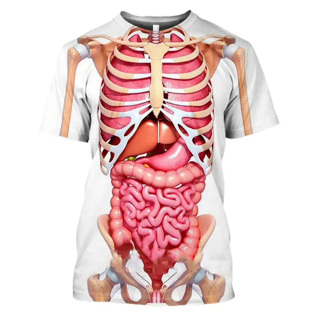 Male Skeleton Internal Organs  - đánh giá và giá 3D Printing Diagram