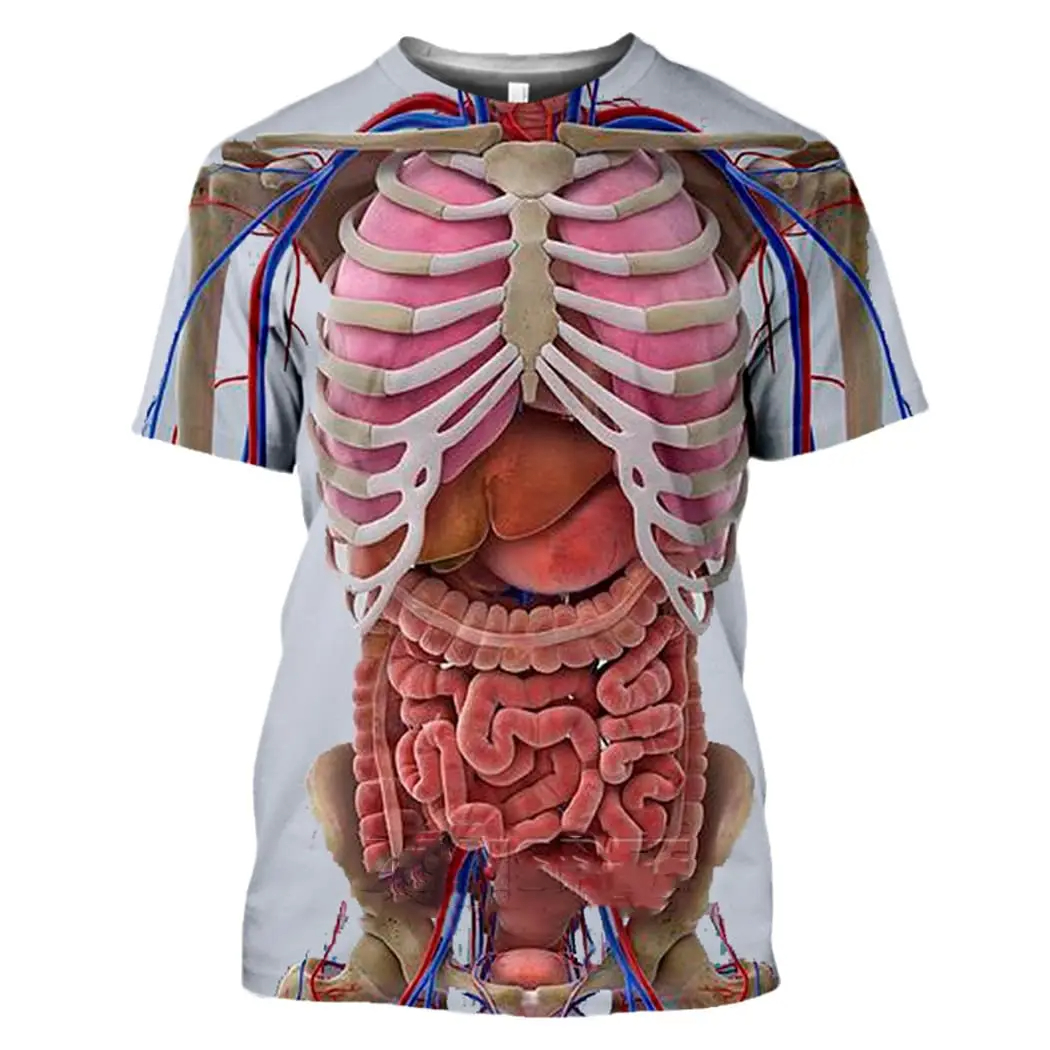 Male Skeleton Internal Organs  - đánh giá và giá 3D Printing Diagram